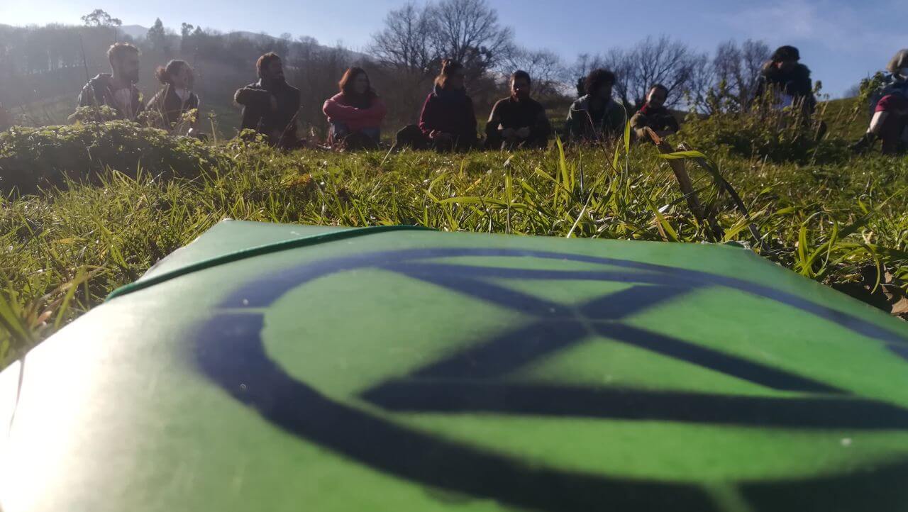 (RE)NACE EN PRIMAVERA – ESTRATEGIA MICELIO